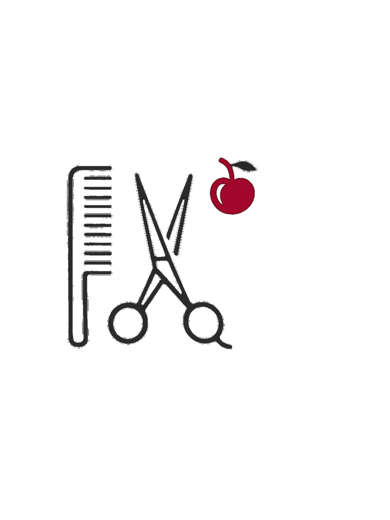 icon friseur 13 04 transparent